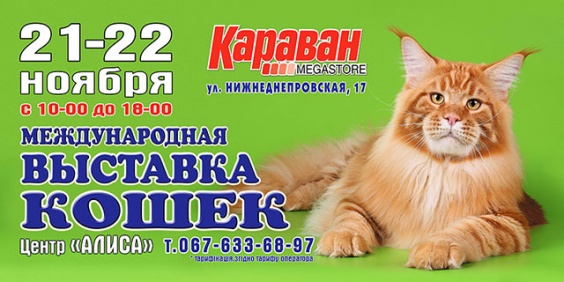 ​Дети в городе. Днепропетровск. Международная выставка кошек в Караване