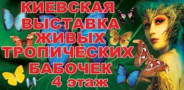 Дети в городе. Днепропетровск. Выставка тропических бабочек в ТЦ Приозерный